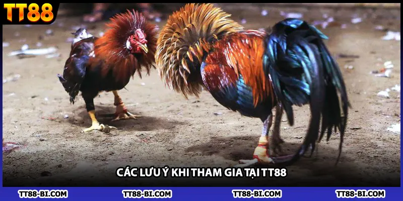 Các lưu ý khi tham gia tại TT88