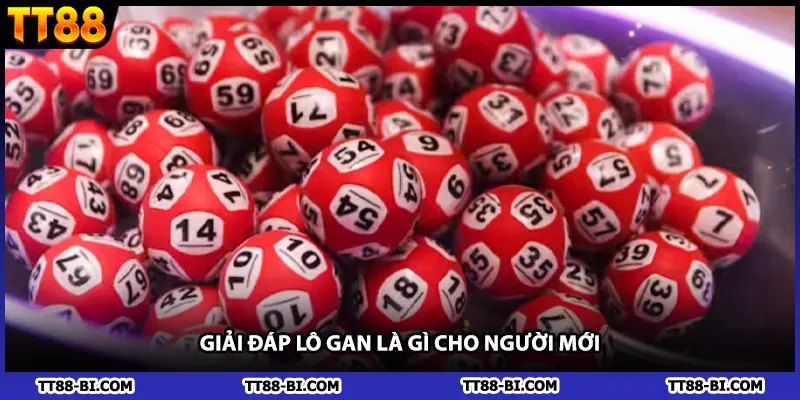 Giải đáp lô gan là gì cho người mới