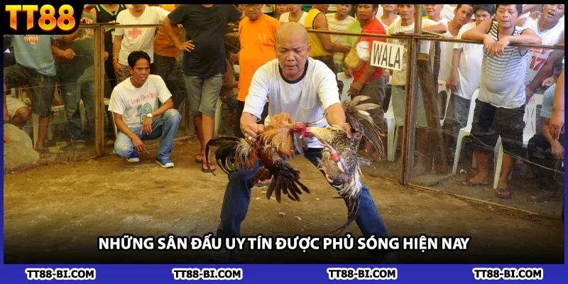 Những sân đấu uy tín được phủ sóng hiện nay
